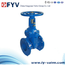 Ductile Iron Rising Stem Gate Valve